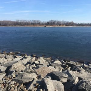 Meet your Posher, Zeldy